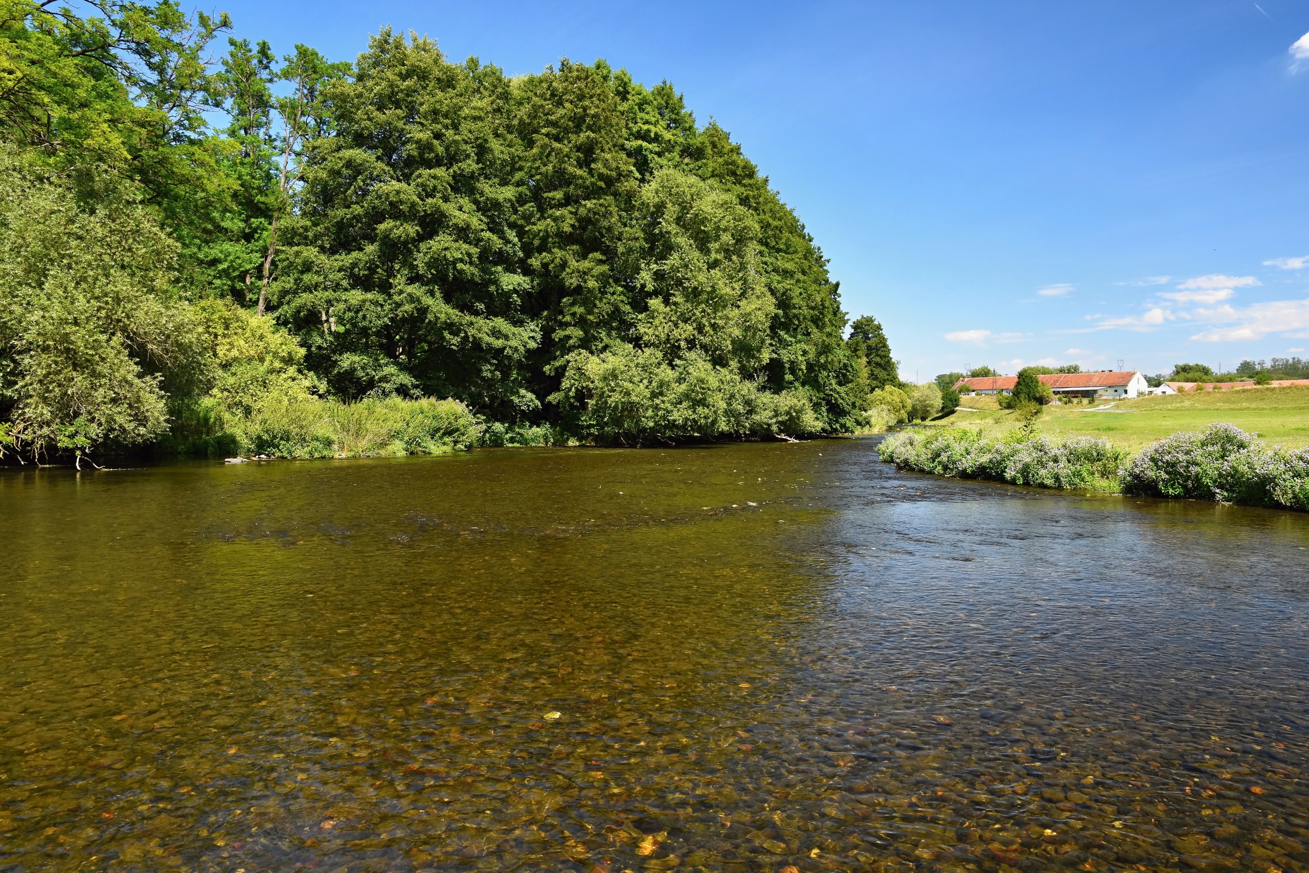 river water greenery nature footage survey