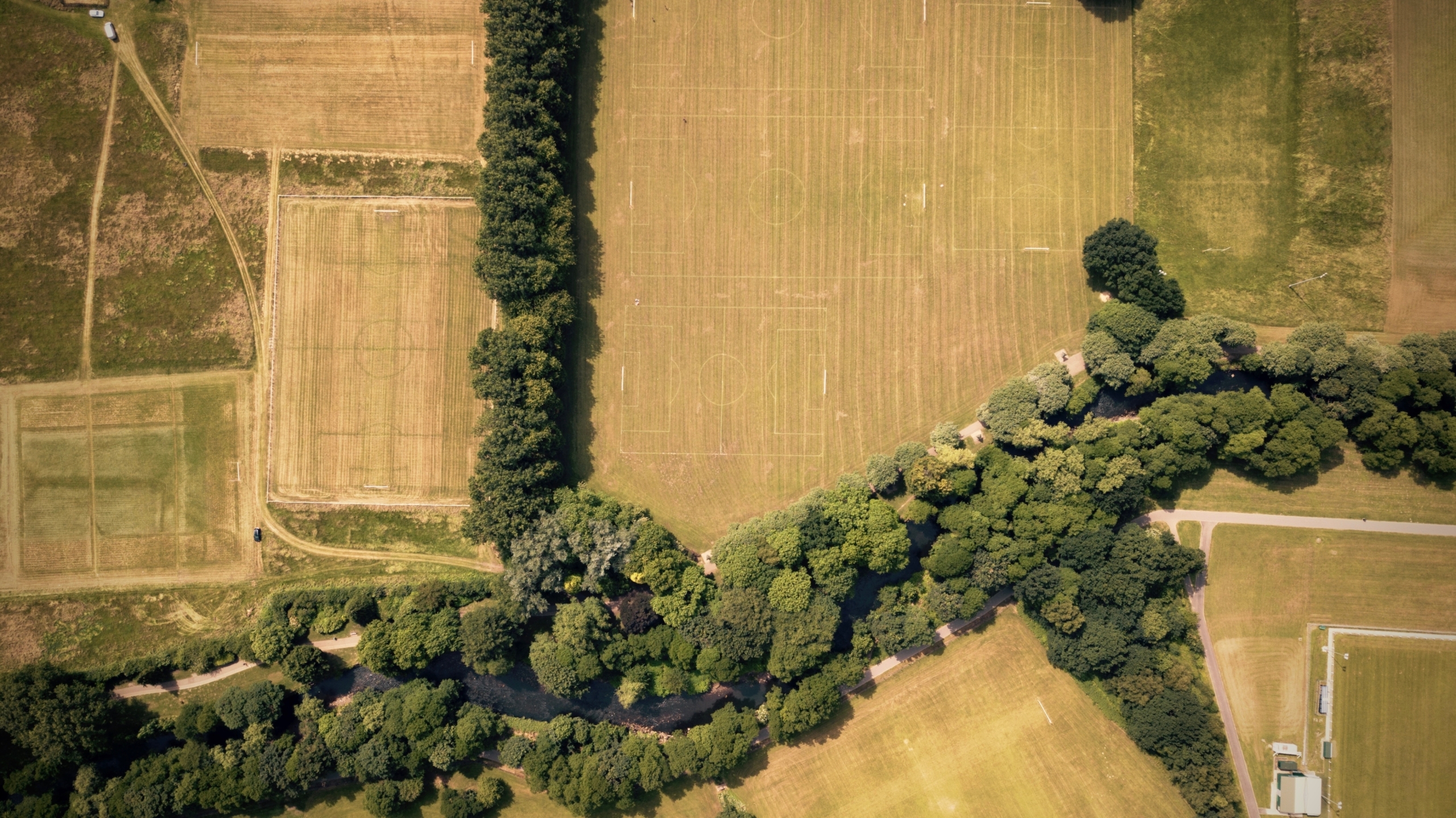 farmland view survey field land tree footage
